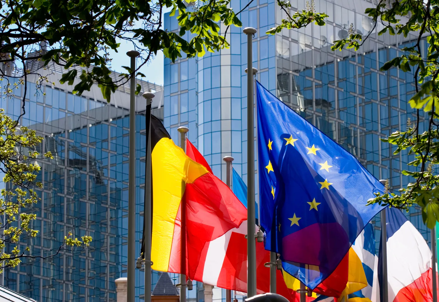 ados-blog-drapeaux-européens